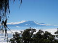 kili again as a constant backdrop on our way up