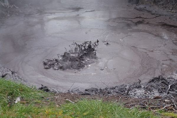 Rotorua Mud 