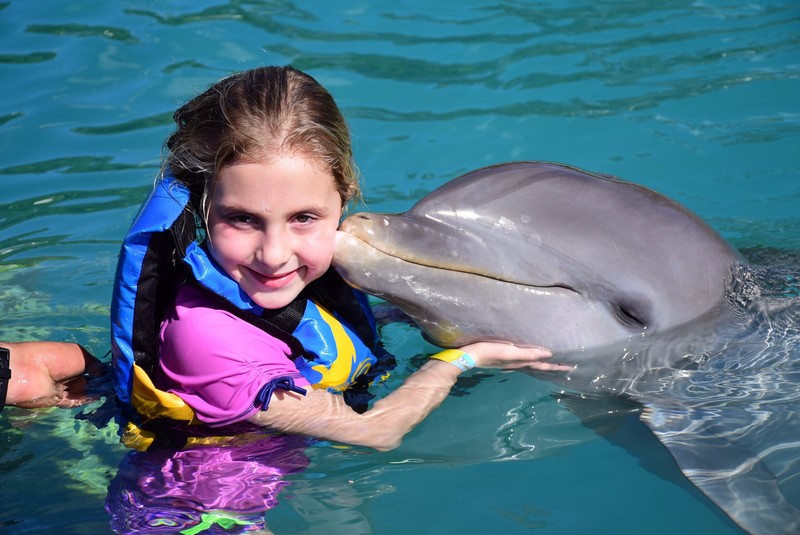 dolphin kisses
