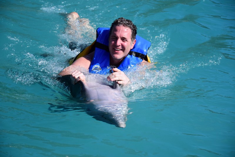 swimming with the dolphin