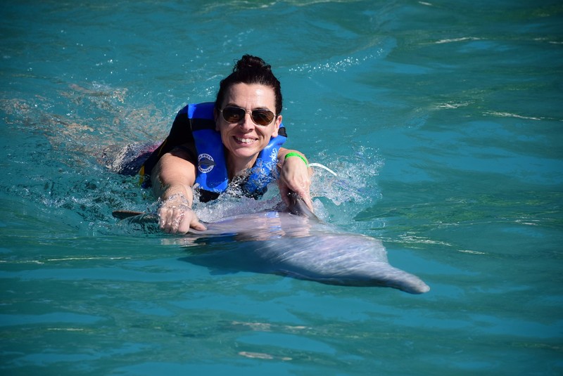 swimming with the dolphins