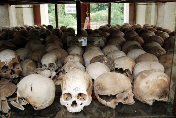 Skulls of People Who Died Sorted Into Age And Sex Order