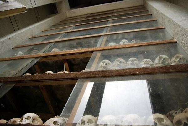 Skulls of People Who Died Sorted Into Age And Sex Order