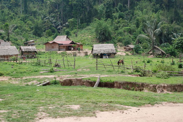 The Gibbons Village Outside The Jungle