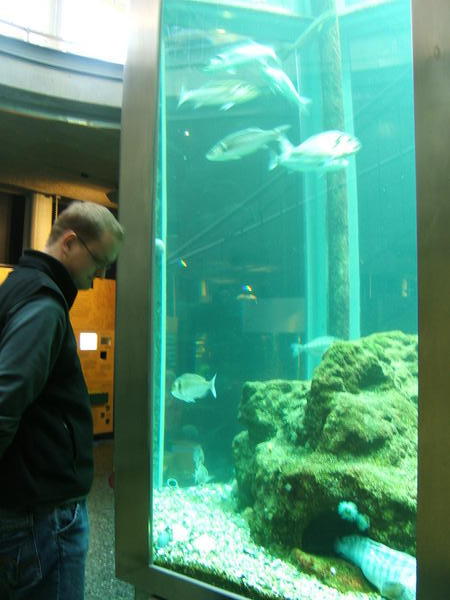 We stopped at the aquarium along the way...