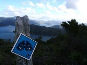Queen Charlotte Track 