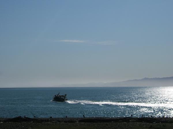 Ferry leaving Kapiti