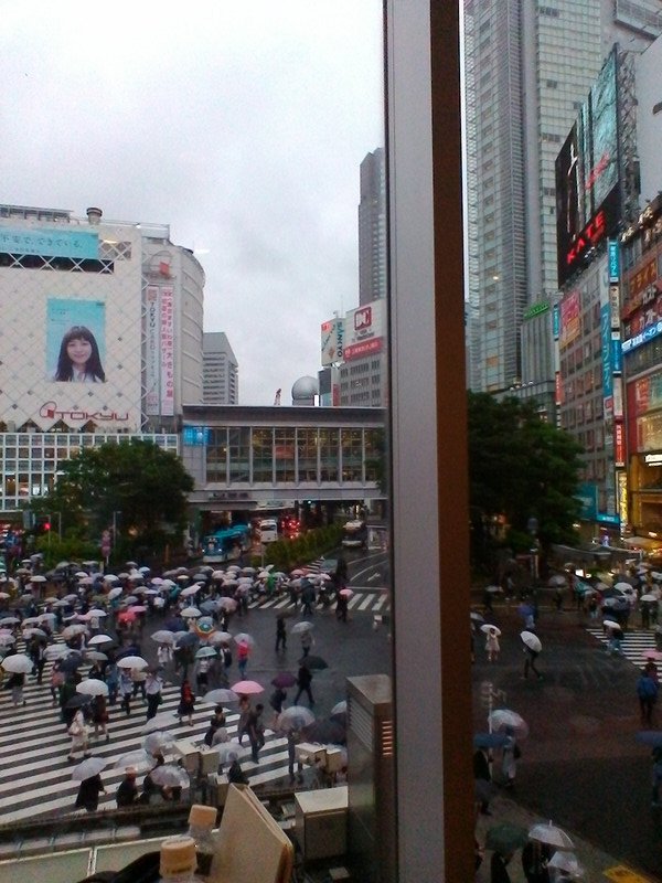 Flot de parapluies sur Shibuya crossing