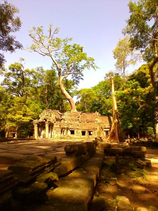 Angkor - temple de Tomb Raider
