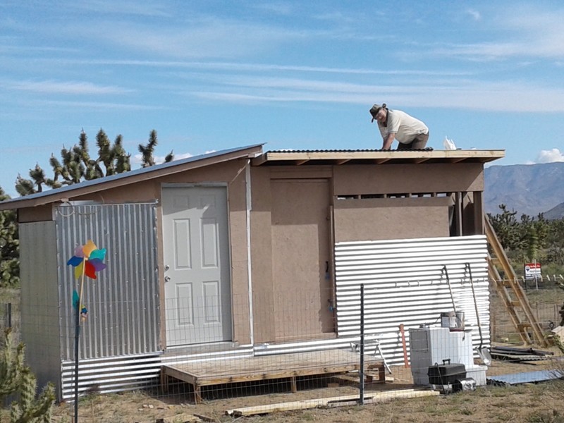 Lion On A Hot Tin Roof