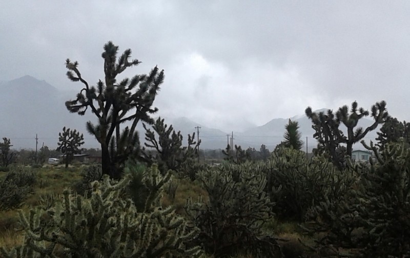 Stormy Weekend on the desert