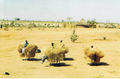 Near the Chad - Sudan border