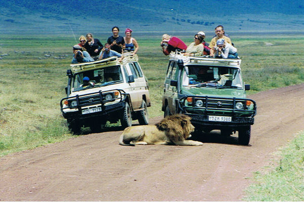 Game drive in the Ngorongoro crater