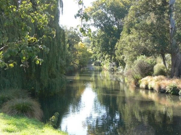 River Avon, Christchurch