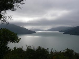 Mahau Sound from Queen Charlotte Drive