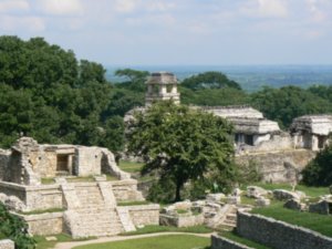Looking out over the main part of Palenque
