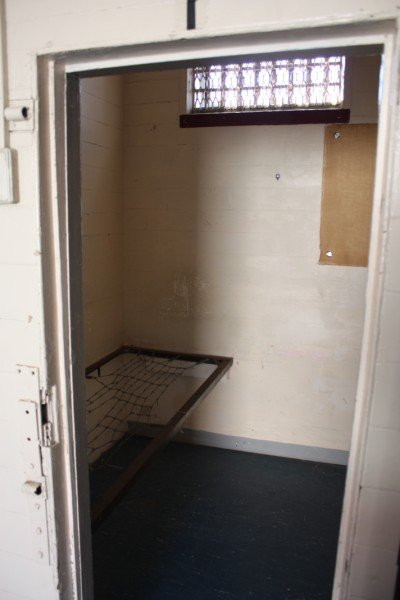 One of the cells