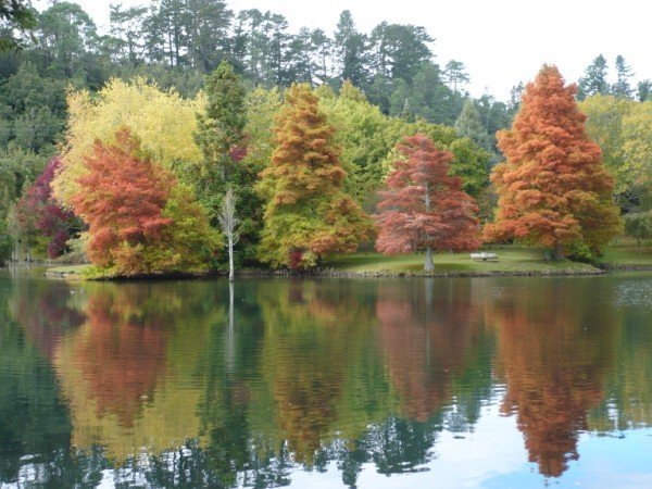 Autumn colours on Lake McLaren
