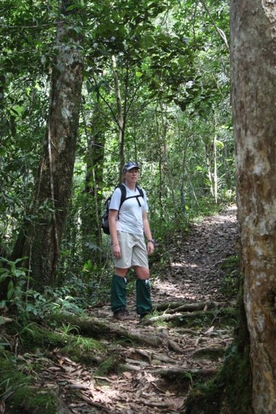 Hiking in the Kinabalu Park