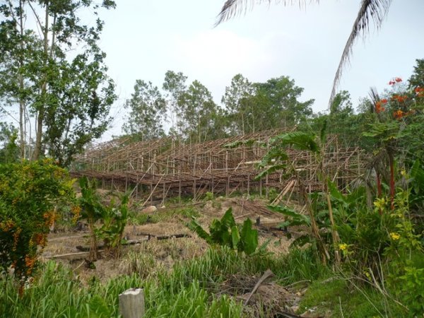 new longhouse under construction