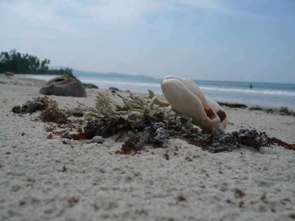 White Sand Beach