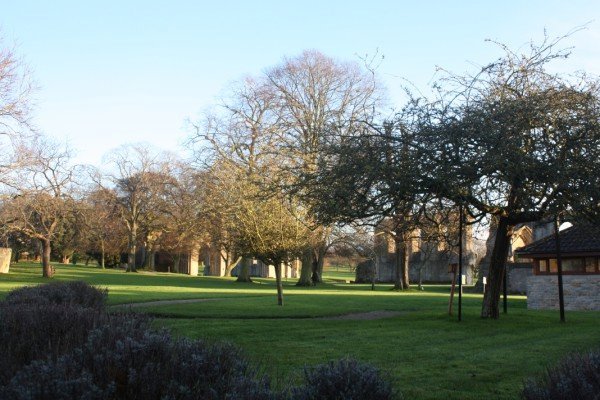Glastonbury Abbey and the thorn tree (right)
