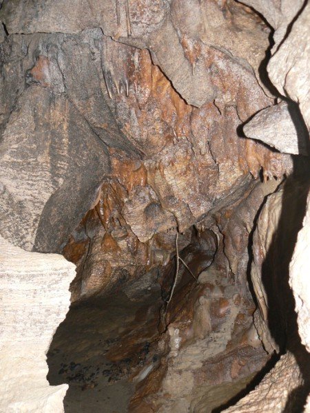 Ivy Cave