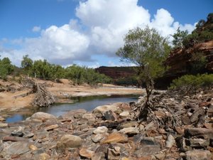 down in the river valley, Kalbarri NP