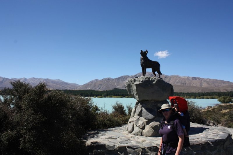 Sheepdog statue, Lake Tekapo