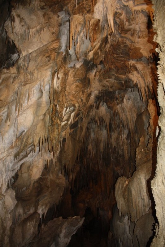 Ngarua Cave