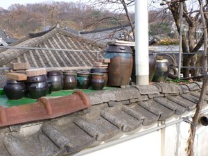 Gimchi  /  kimchi being fermented