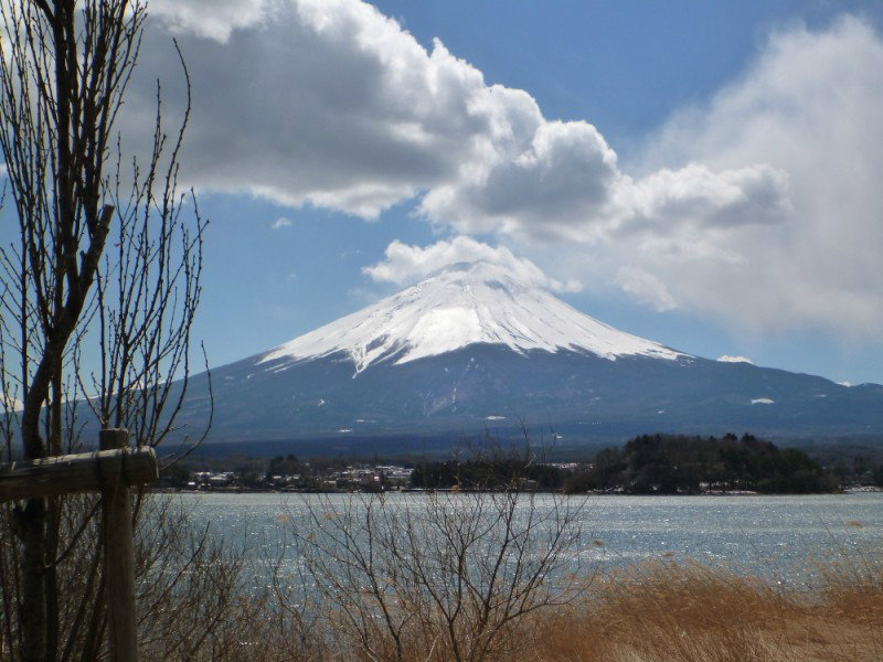 Mt Fuji and Lake Kawaguchiko