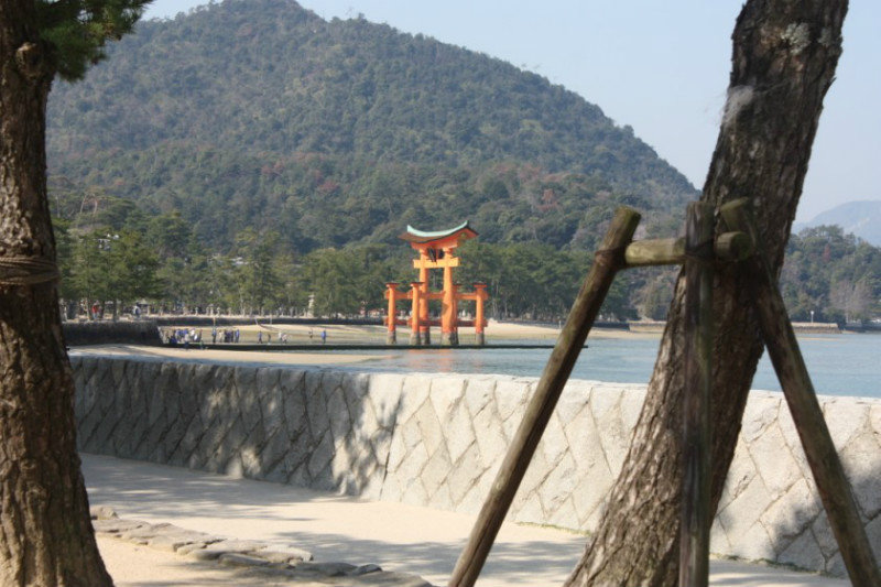 The O-Torii Gate