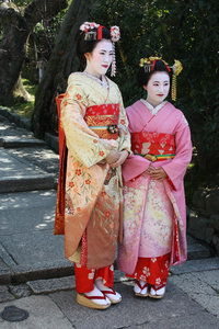 the tourist geisha
