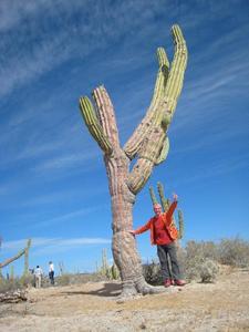 El Turista con Cactus