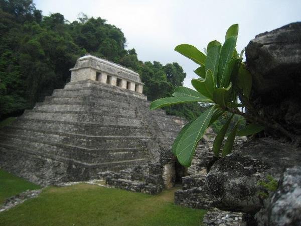 Palenque Ruins 4