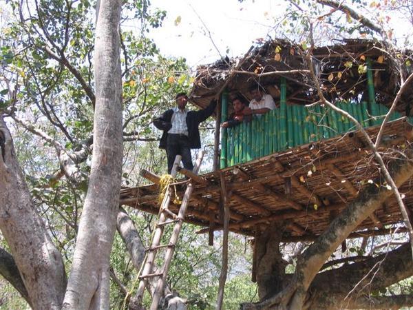 anand, me and umesh in tree house