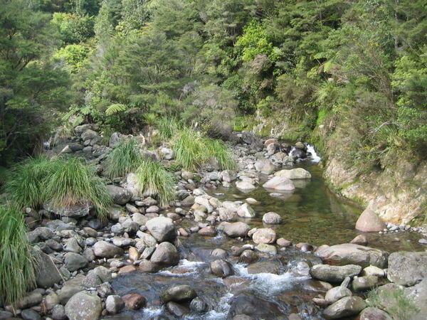 Waitengaue Trail