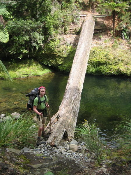 Waitawheta River trail