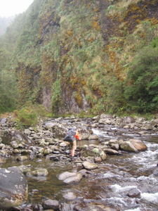 Waitawheta River trail