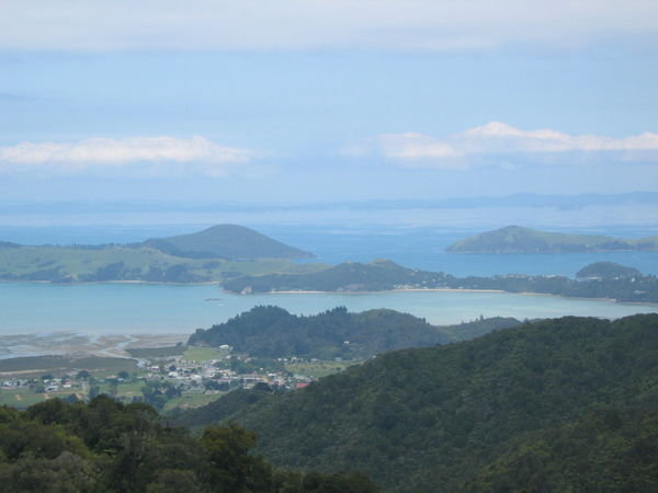 Road to Coromandel Town