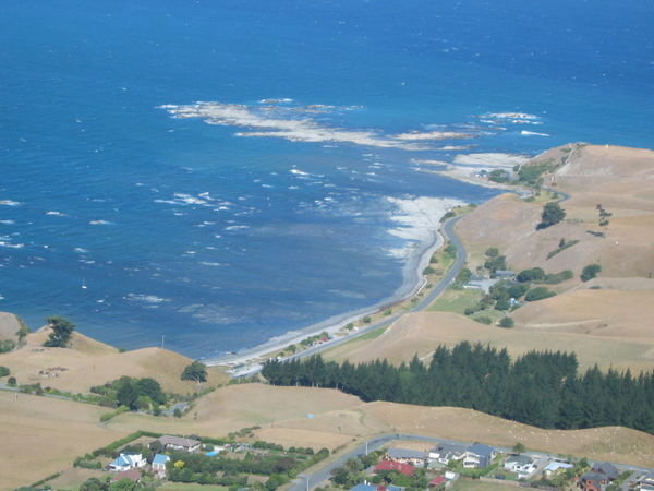 Seal Colony from the air