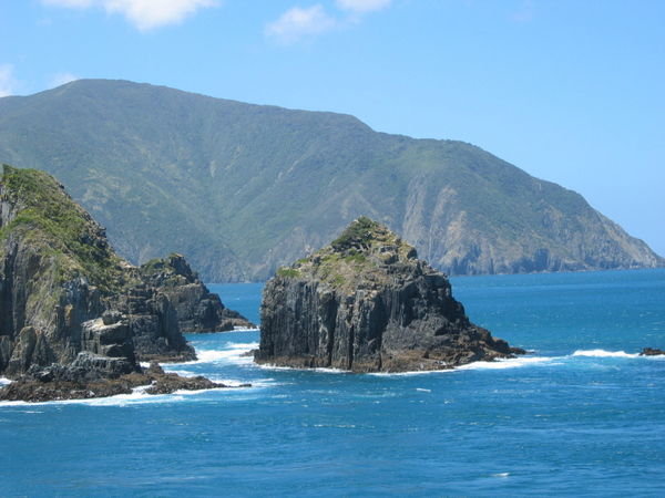 Rugged South Island Coastline