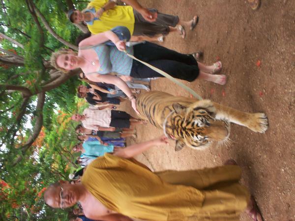 my tiger walk