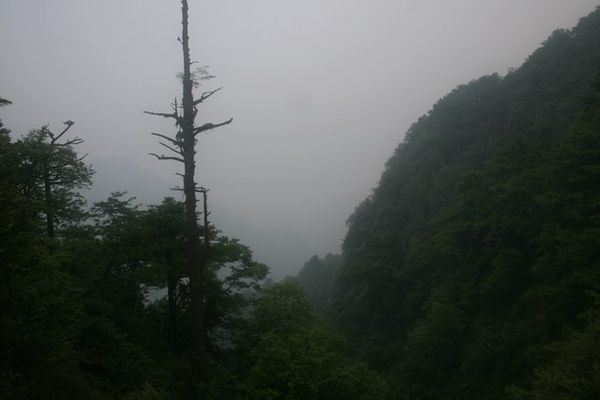 "Fantastic" Views going up Mount Emei