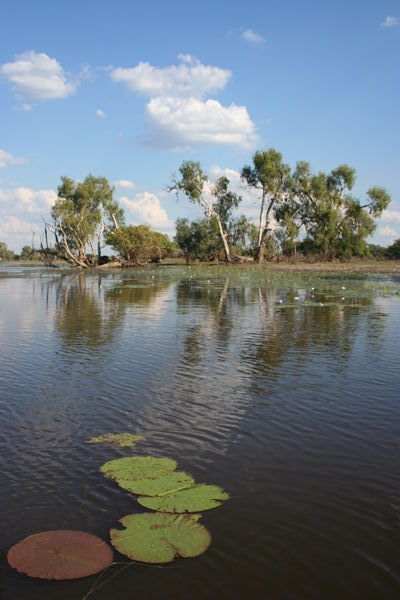 Mary River Kakadu National Park
