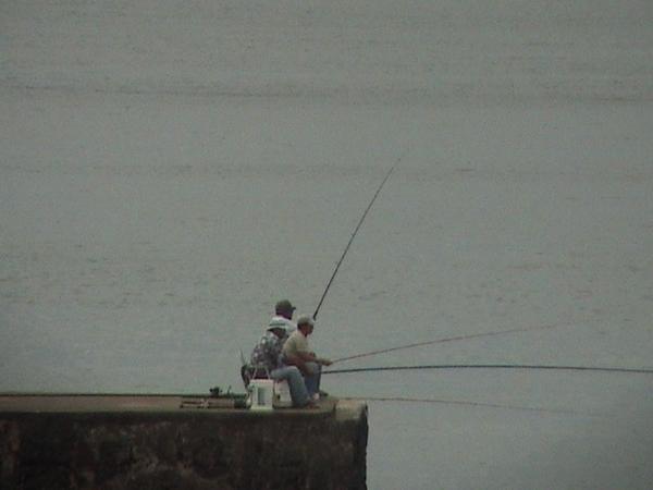 Local Fisherman