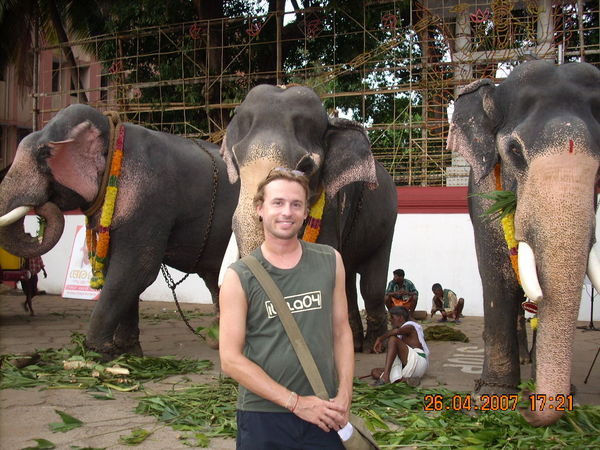 moi et les elephants