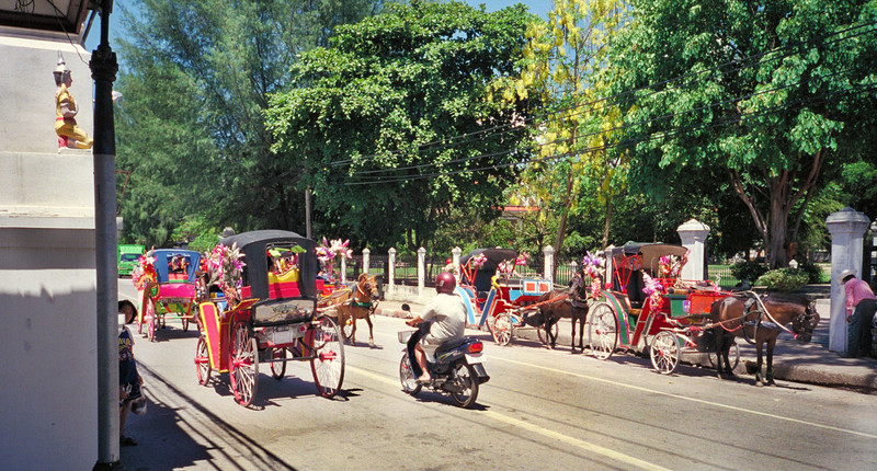 Horse-drawn-carriage
