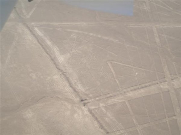still in the plane nazca lines